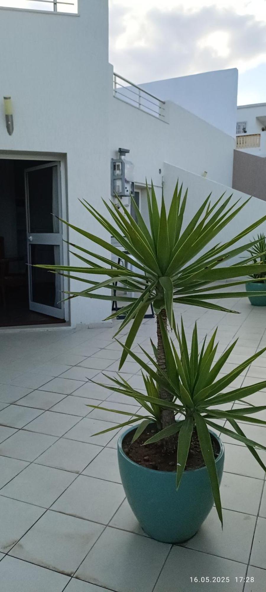 Residence Debbabi Sans Coupure D'Eau Monastir Chambre photo